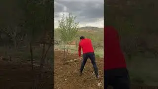 BAH&Ccedil;E SEZONUNU A&Ccedil;TIK & &Ccedil;APA & BAH&Ccedil;E TEMİZLİĞİ