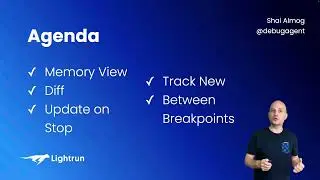 🦆 Duckling the 11th: Inspect all objects in memory and run diffs on memory changes