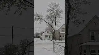 Snow Walk after Snowstorm in Winnipeg #shorts #snow #walk #snowstorm #winnipeg