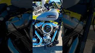 2026 Softail Street Bob FXBB | Dark Billiard Gray #HarleyDavidson