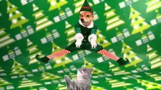 Doge rap