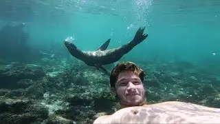 Galapagos SURF and SEA LIONS, SICKEST EXPERIENCE EVER!! || PART 2