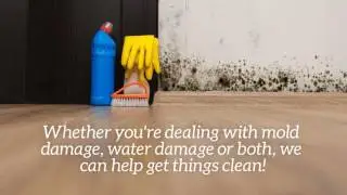 Can Water Restoration in Pompano Beach Fight Mold? | MVP Environmental Solutions, Inc.