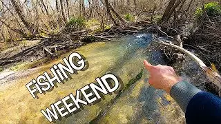 Il mio Weekend di pesca tra mare e monti, tra DRAGHIi e TROTE - Apertura Torrente 2019