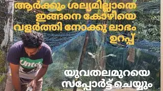 ഫാം വിശേഷങ്ങൾ: കൃഷിയിലേക്കും ഗ്രാമീണ ജീവിതത്തിലേക്കും ഒരു എത്തിനോട്ടം.☺️