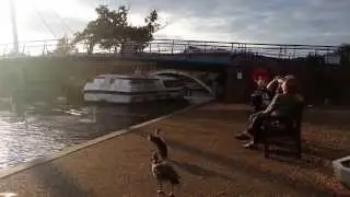 how to go under Wroxham Bridge after the pilot goes home pmsl