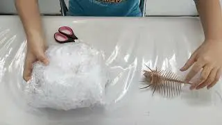 Unboxing Kerang Langka