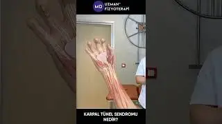 KARPAL T&Uuml;NEL