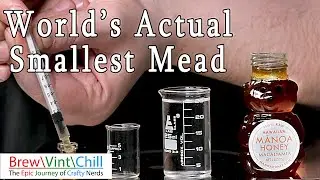 World's Actual Smallest Mead | Making a 500 &micro;L Mead  | Mini
