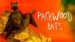 Packwood - Bats (Official Music Video)