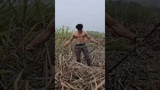 desi bodybuilder 🎋🔥 #gymmotivation #desi #short #fitnessmasterdeepak