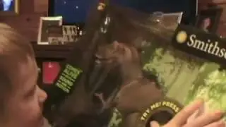 Brandon's T Rex B Day 2016