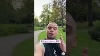 Сколько стоят права в Нидерландах? 🇳🇱