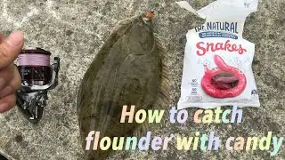 How to catch flounder with candy in Auckland, NZ