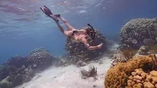 Come Back To The Cayman Islands by The Barefoot Man (2021)