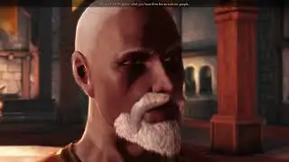 Veilguard Prologue: Dragon Age Awakening: Dalish Male Elf Mahariel: Endgame