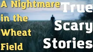 A Nightmare in the Wheat Field. True scary stories that are creepy to listen to alone in the dark
