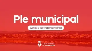 Ple Municipal de Camarles de 8 de juliol de 2024 a les 13:00 hores