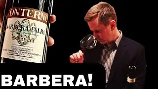 Станет ли BARBERA следующим большим трендом в коллекционировании итальянских вин?