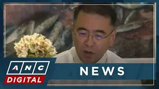 Maharlika Corp. CEO to identify state assets that can contribute to the fund | ANC