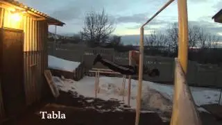 El Arte del GimBarr,Arte en Barras,Winter