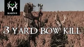 Insane 3 Yard Deer Kill! Best Deer Hunting, Bone Collector | 100% Fair Chase