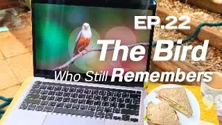 EP.22 &mdash; The Bird Who Still Remembers #NatureWisdom #TheBirdWhoStillRemembers