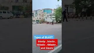 Types of BLAST #phd #research #studentlife #bioinformatics #BLAST #bioinformaticians