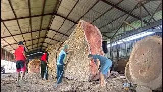 Вуда очень ждут сверхъестественные существа из Красной Земли!! распиленный на лесопилке