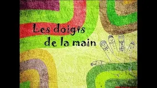 Les doigts de la main