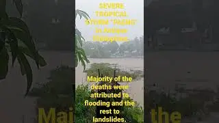 #Typhoon Paeng