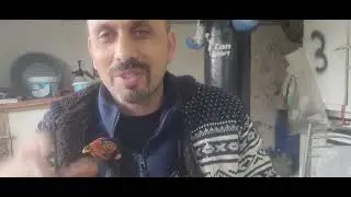 hint #horunda bakım ve damızlık takibi