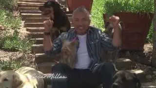 CESAR MILLAN EL L&Iacute;DER DE LA MANADA