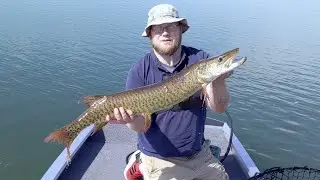 Spring Sight Fishing Muskies with Phantom Softail on Island Lake, SD