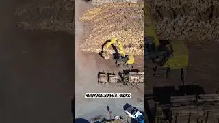 Massive Machine Moving Huge Logs | Heavy Equipment at Work #shorts