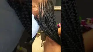 Small Feed in Braids with Single Braids in the back