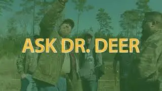 Ask Dr. Deer: Is Cottonseed Good for Whitetail Deer
