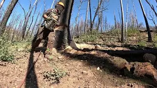 Последний день в Берне