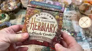 Take a Look at The Illustrated Herbiary Oracle Cards by Maia Toll #deckflipthrough #deckwalkthrough
