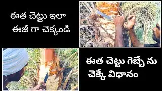 #ఈత_చెట్టు_గెబ్బె_ఇలా_ఈజీ_గా_చెక్కండి #గౌడ్ @flightbaswapoorfilms8074 #for_youngouds