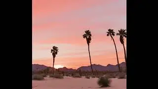 Arabic Oriental Dancehall Type Beat - ''Changes''