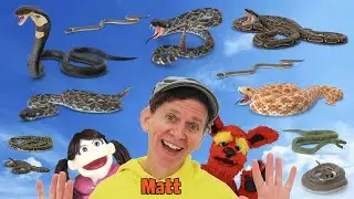 Snakes | What Do You See? Song | Find It Version | Dream English Kids