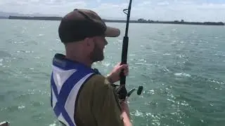 Tauranga Harbour Bronzies