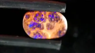 Boulder opal (3144c)