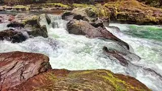 Soft Fingerstyle Guitar by the Stream | Birds Singing in a Quiet Forest Morning