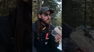 I never go winter camping without my chainsaw #snowcamp #wintercamping #stihl #firewoodasmr