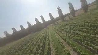 #dji #avatar #great #feelings