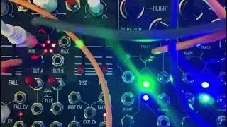 O-Coast + Event ( Rat king modular )