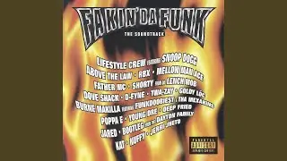 Fakin' da Funk