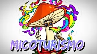 MICOTURISMO= &iexcl;UN VIAJE CON HONGOS!🍄